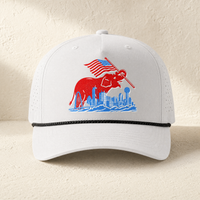Dallas Elephant Skyline Rope Hat — Front, Silver/ Black Silver | Dallas Republican Convention